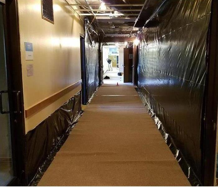 cleaned hallway, carpet, black poly covering wall sections