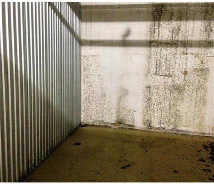 mold stained warehouse wall