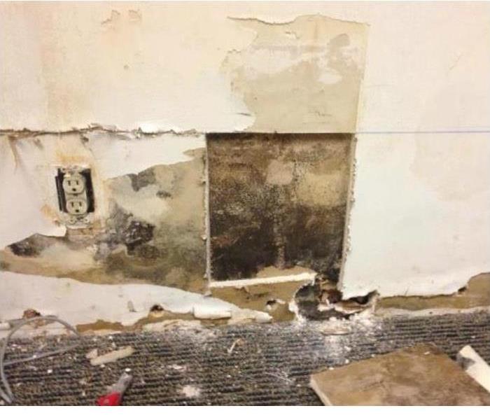 Wall with mold damage on sheetrock