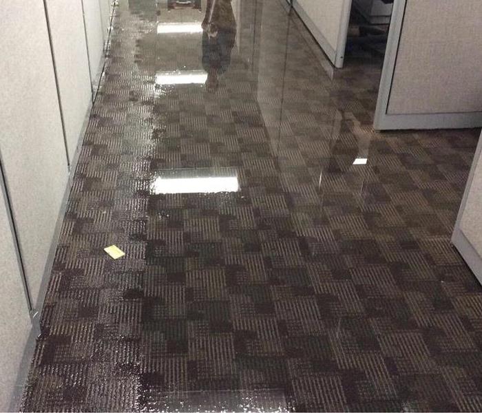 water covering carpet by cubicles in an office