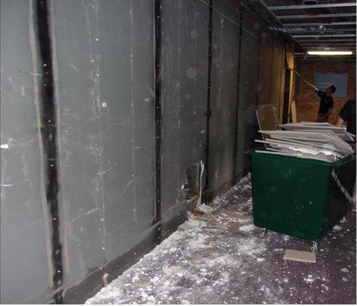 SERVPRO tech with mold damaged building materials